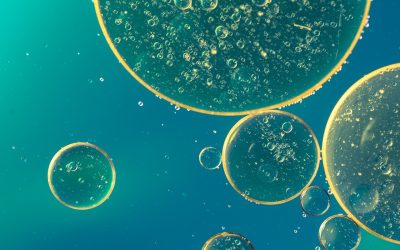 Life Fluids: Quins fluids tenim al cos humà?