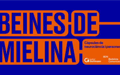 Beines de mielina