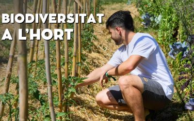 Biodiversitat a l’hort
